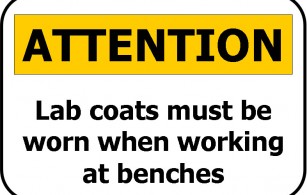 Lab
